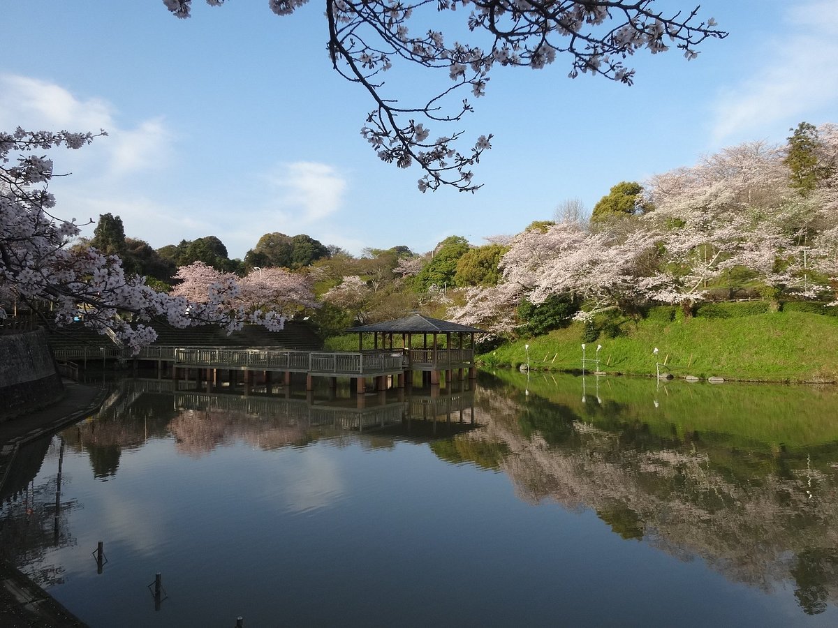 🏞️ 시미즈 후나코시 둑 공원 (시미즈 후나코시 츠츠미 코엔) 이미지 4